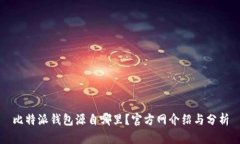 比特派钱包源自哪里？官方网介绍与分析