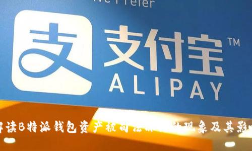 解读B特派钱包资产被司法冻结的现象及其影响