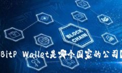 BitP Wallet是哪个国家的公司？