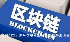 以太坊官网BZZ: 深入了解以太坊的最新动态与发展