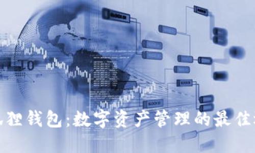 小狐狸钱包：数字资产管理的最佳选择