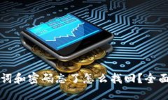 助记词和密码忘了怎么找回？全面指南