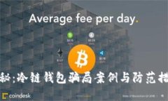 揭秘：冷链钱包骗局案例与防范措施