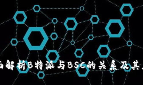 全面解析B特派与BSC的关系及其应用
