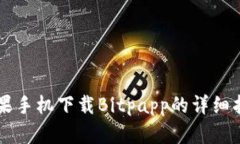 苹果手机下载Bitpapp的详细指南