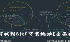 如何找到BitP下载地址？全面指南