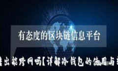   冷钱包转出能跨网吗？详解冷钱包的使用与转账