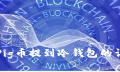 如何将Pig币提到冷钱包的详细指南