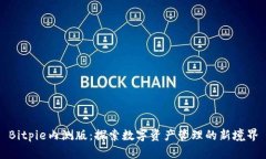 Bitpie内测版：探索数字资产管理的新境界