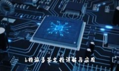 b特派多签支持详解与应用