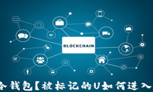 
什么是冷钱包？被标记的U如何进入冷钱包？