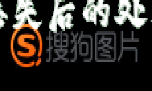 token.im冷钱包丢失后的处理方法与应对策略