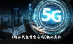 b特派钱包需实名吗？揭秘真假