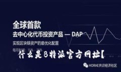 什么是B特派官方网址？