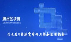 什么是B特派宽带的上限和使用指南