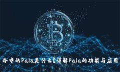 冷中的Pala是什么？详解Pala的功能与应用